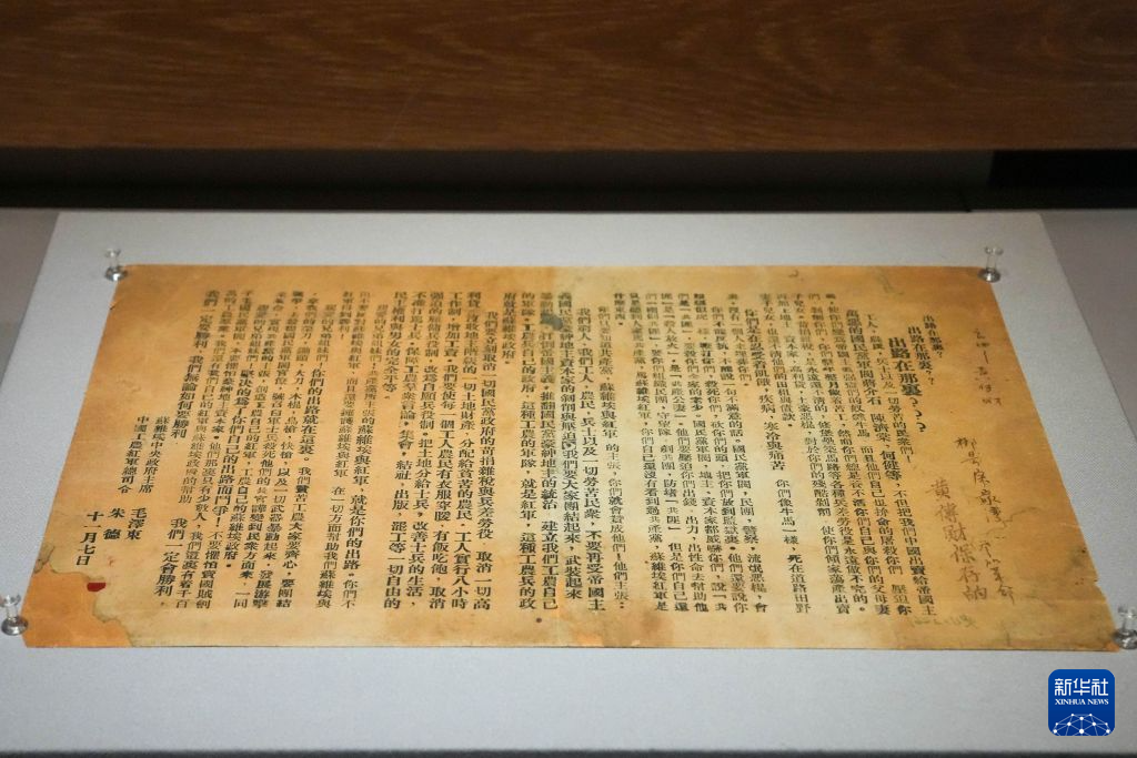懂球帝赛事信息